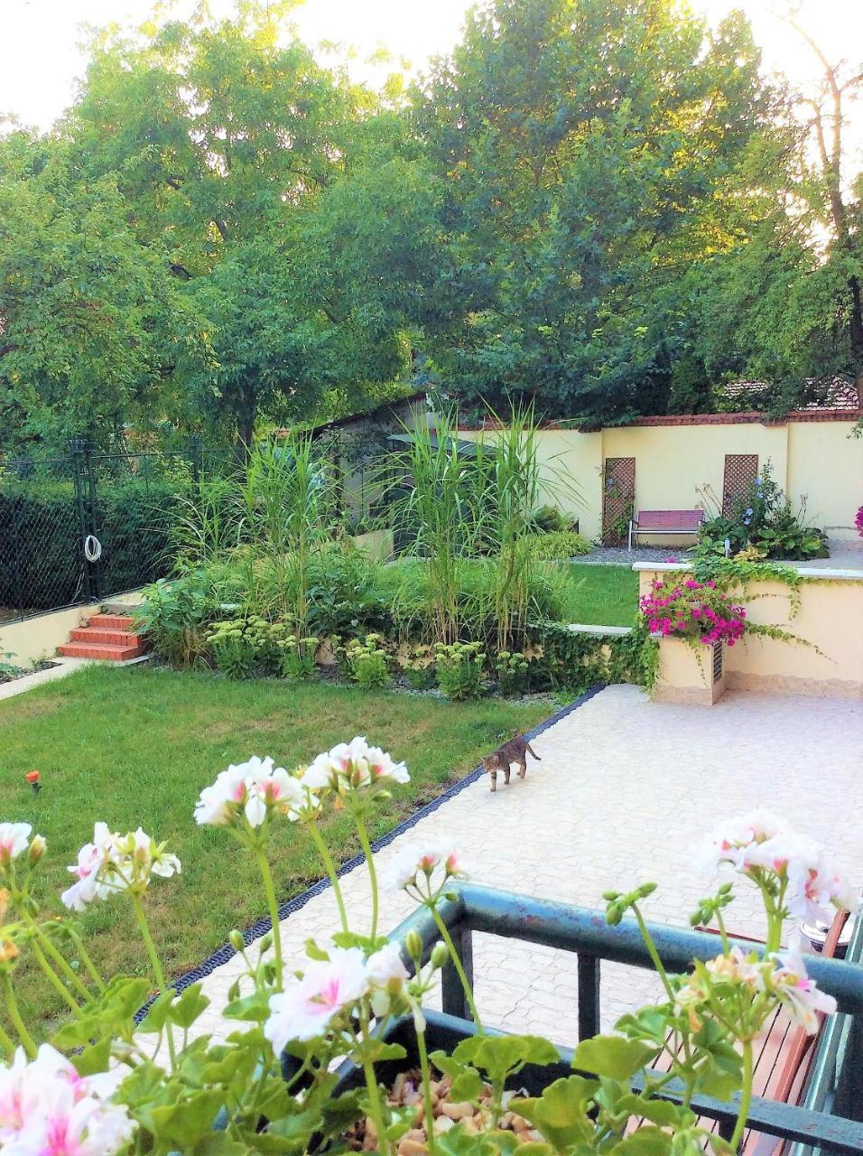 Apartament Amaryllis Cracovie Extérieur photo